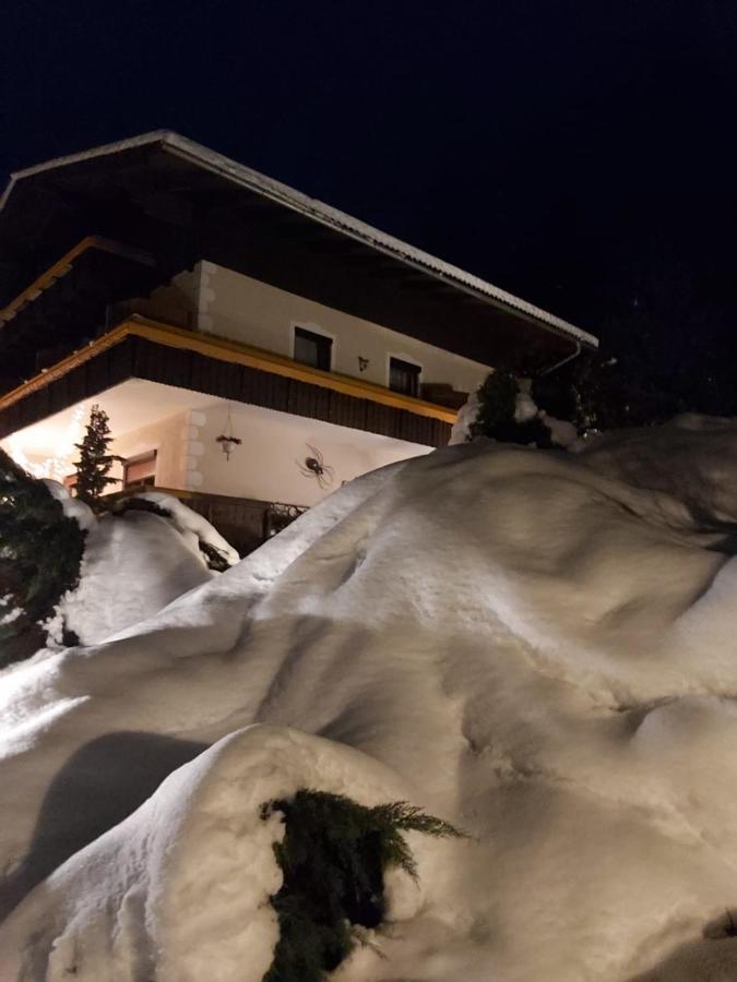 Pension Karlsdorfer Hof Seeboden am Millstätter See Exterior foto
